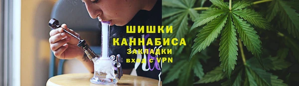гидра Няндома