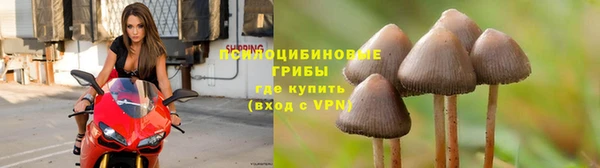 гашишное масло Аркадак